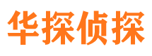 满城市侦探公司